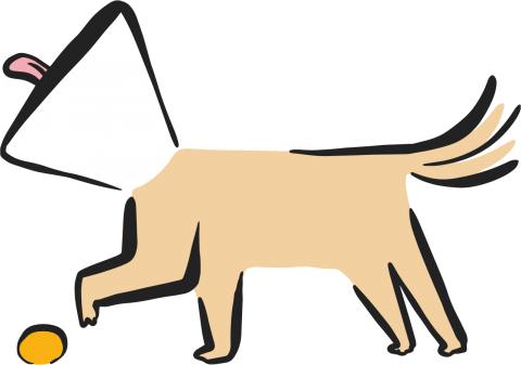 PetSecur dierenverzekering