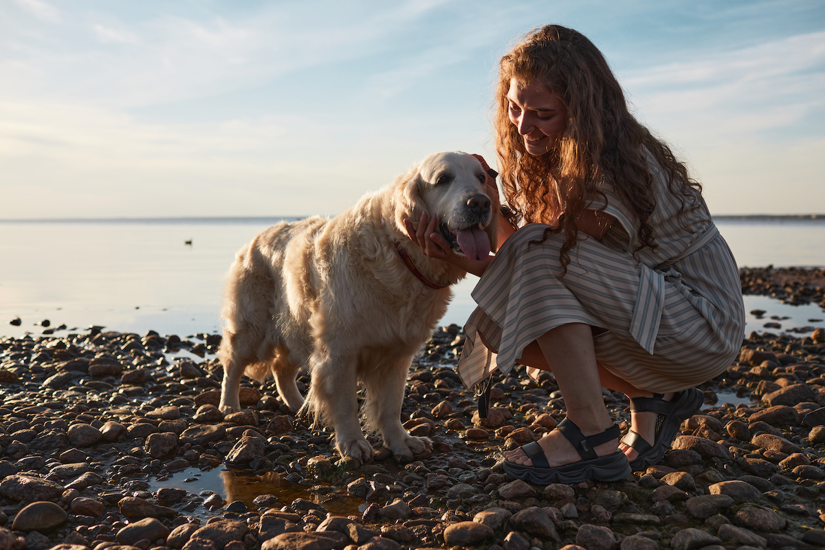 Een vrouw zit op een kiezelstrand bij zonsondergang en aait liefdevol haar blije hond, die met zijn tong uit de mond van het moment geniet.