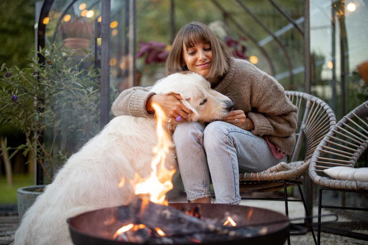 Hoeveel kost het laten inslapen van een hond PetSecur