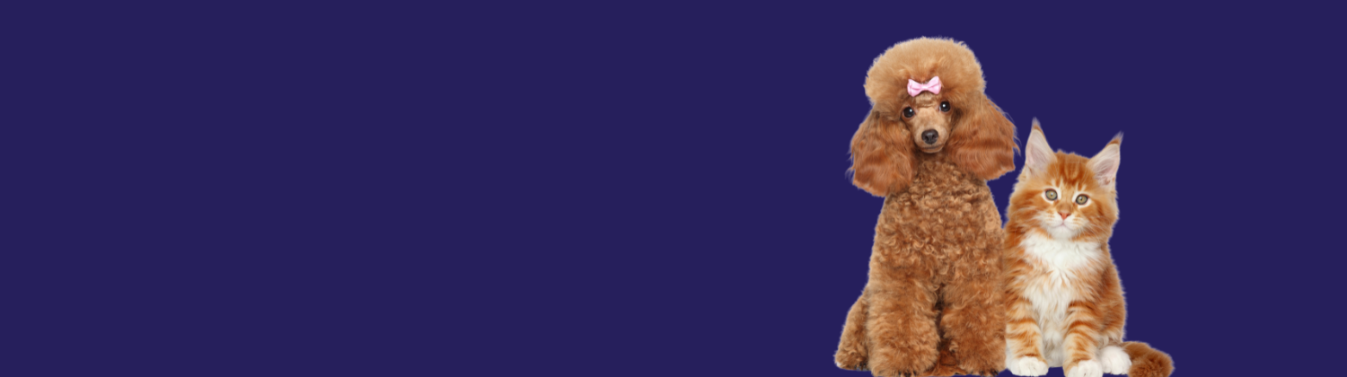 Populairste huisdierennamen 2025