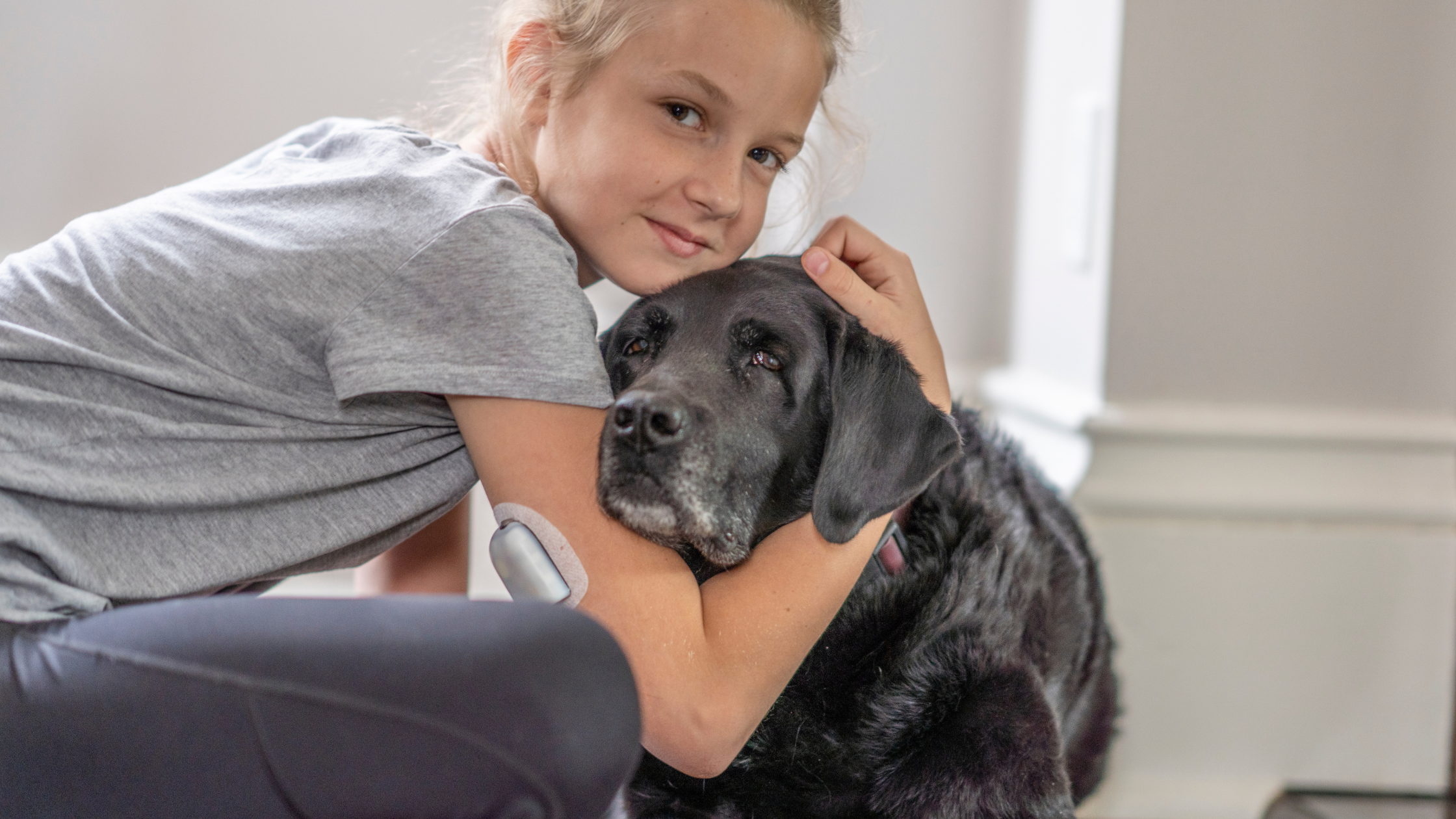 Hond suikerziekte