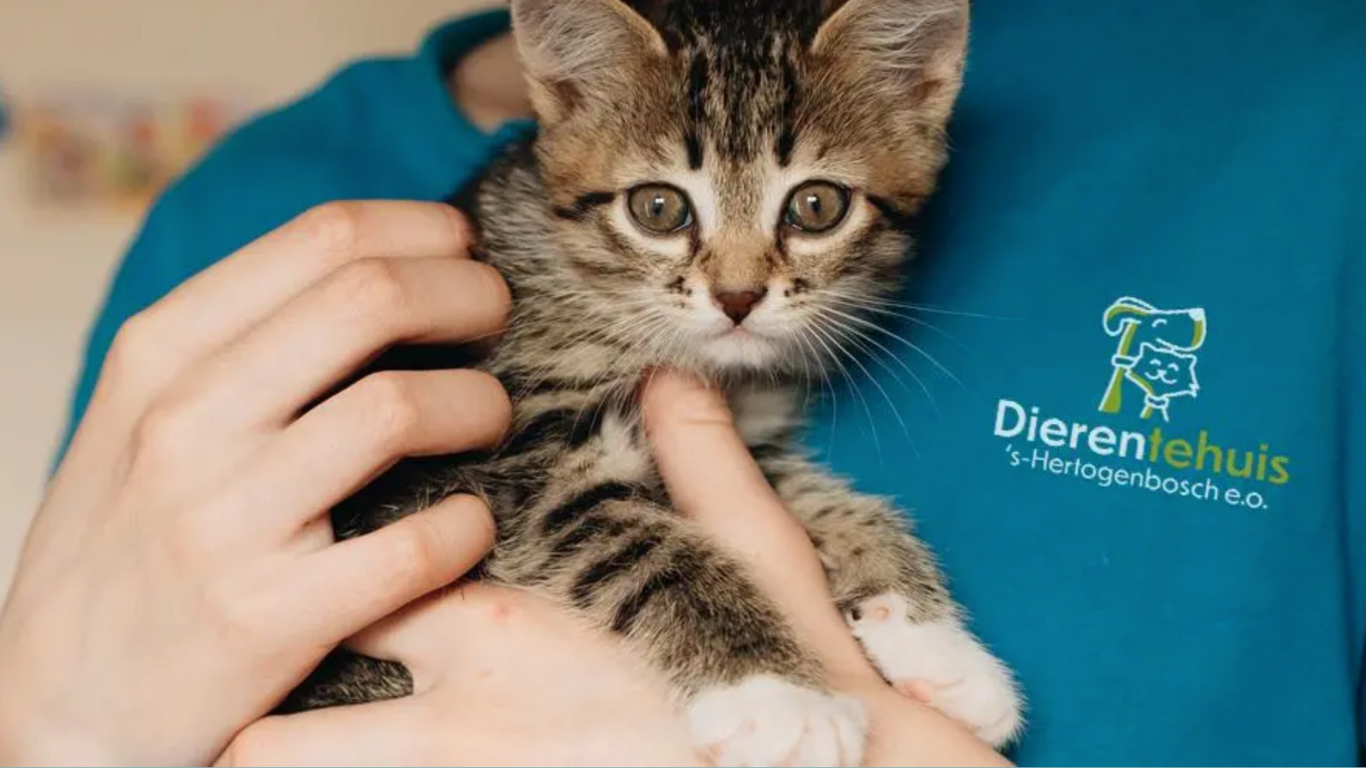PetSecur-steunt-Dierentehuis-'s-Hertogenbosch-PetSecur