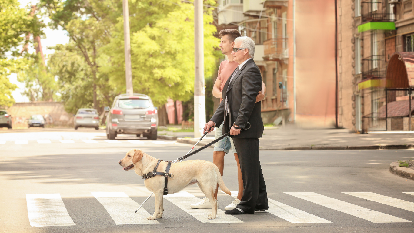 Een oudere man met zonnebril en pak staat op een oversteekplaats en houdt een harnas van een geleidehond vast, vergezeld door een jongere man in vrijetijdskleding, in een stadsstraat met bomen en geparkeerde auto's.