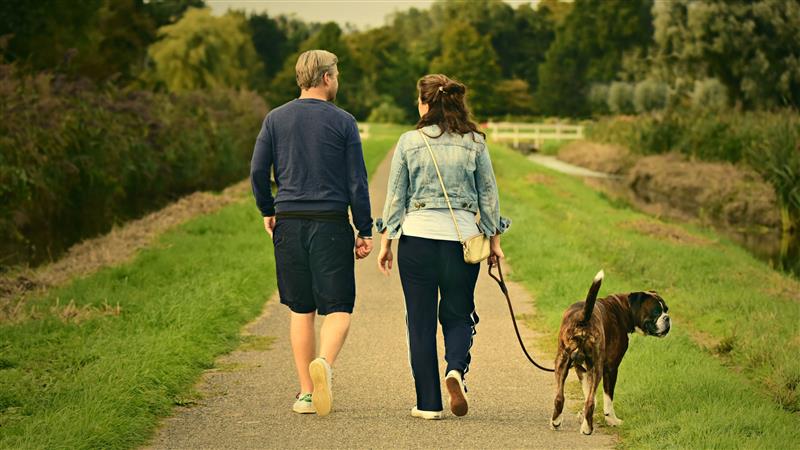 Een man en een vrouw wandelen samen over een landweggetje terwijl hun hond rustig aan de lijn meeloopt.