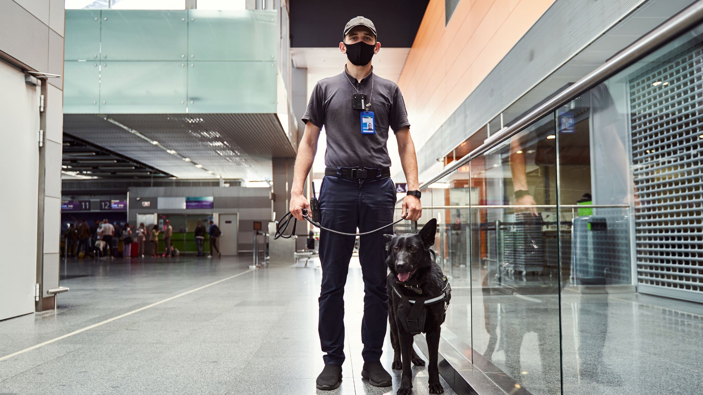 Een beveiligingsbeambte met een masker en uniform staat in een luchthaven en houdt de riem van een zwarte werkhond vast. Ze staan in een lichte, moderne terminal met glazen wanden. Een beveiligingsbeambte met een masker en uniform staat in een luchthaven en houdt de riem van een zwarte werkhond vast. Ze staan in een lichte, moderne terminal met glazen wanden. Een beveiligingsbeambte met een masker en uniform staat in een luchthaven en houdt de riem van een zwarte werkhond vast. Ze staan in een lichte, moderne terminal met glazen wanden.