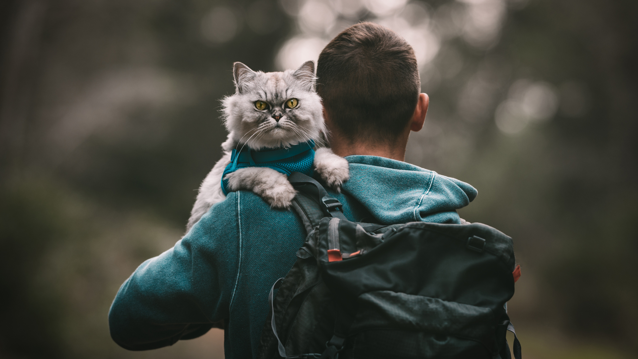 Man loopt buiten met kat over de schouder. PetSecur