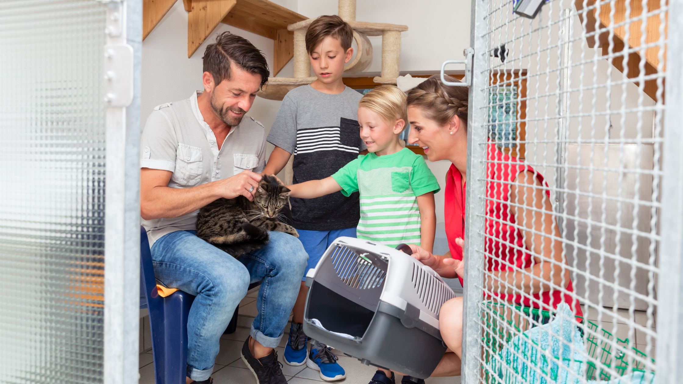Een gezin is in het asiel voor een kat adopteren. PetSecur