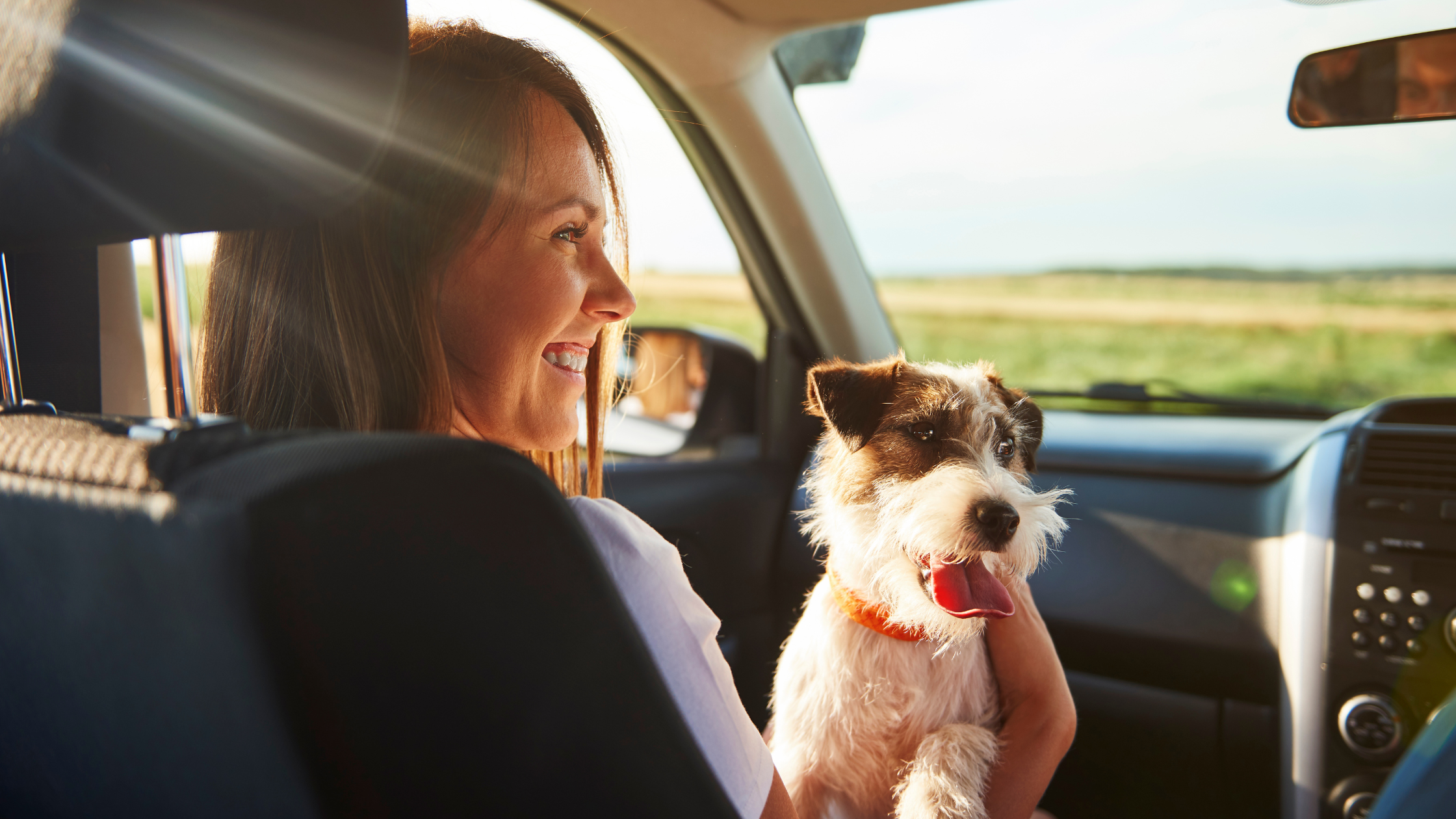 Hond zit op schoot bij vrouw in de auto om reisziekte bij honden te voorkomen. PetSecur
