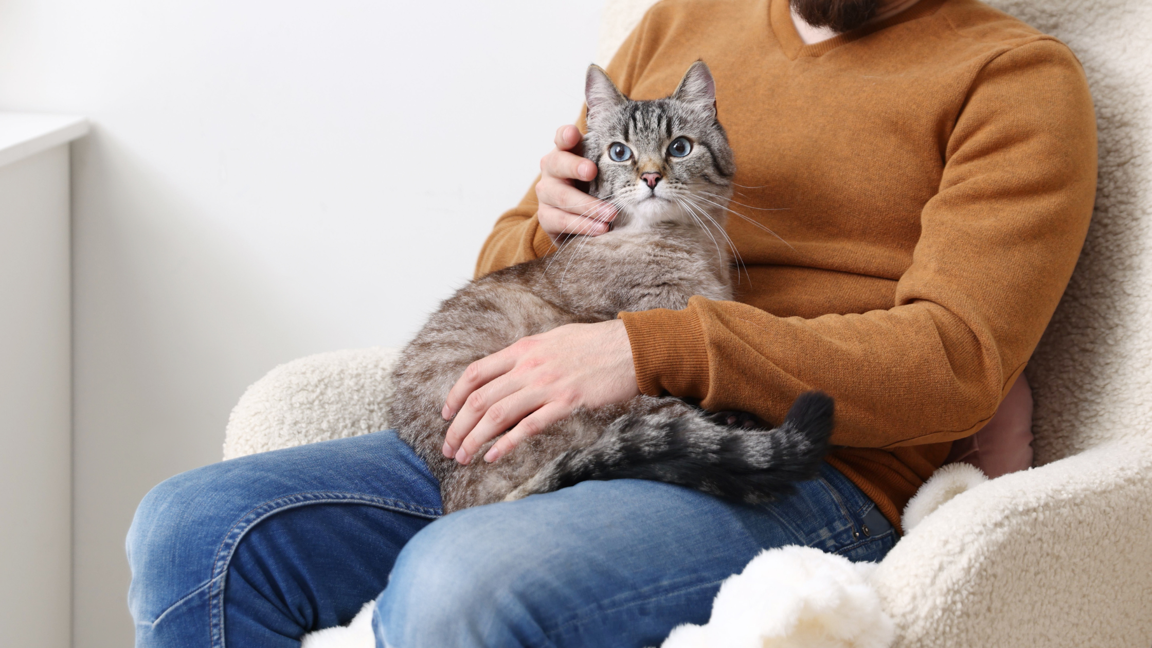 Hoe zorg ik dat een kat tegen me aan komt liggen?