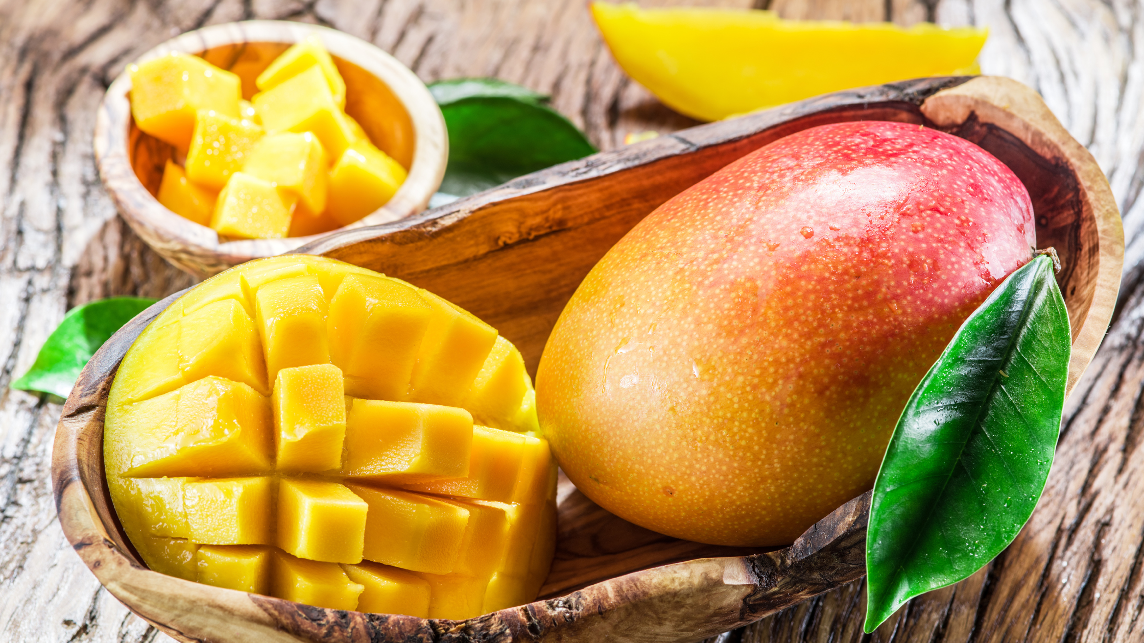 Mag een hond mango?